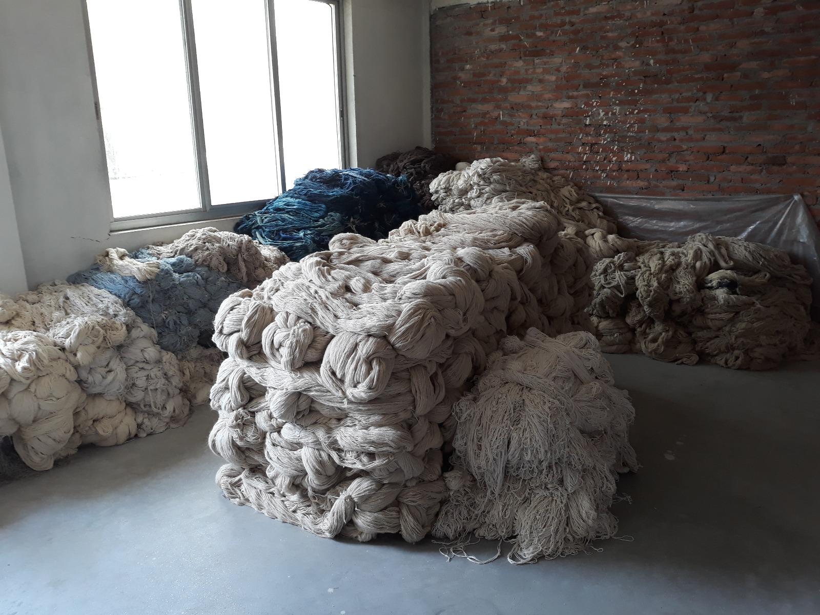 Yarns of wool ready to be woven